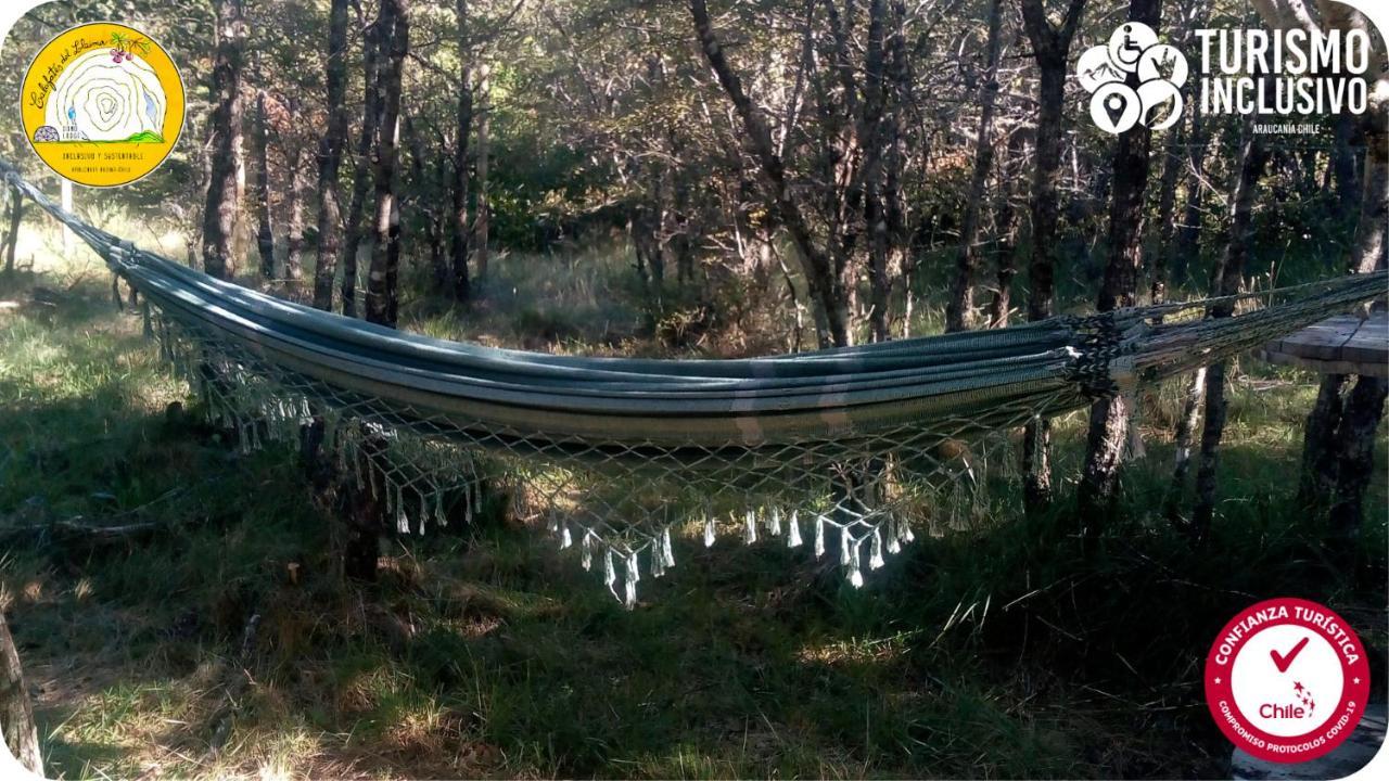 הוילה קונגיו Centro Turistico Calafates Del Llaima מראה חיצוני תמונה